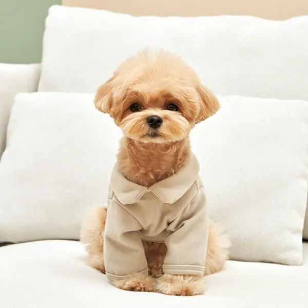 BABYDOG 반려동물 단정카라 긴팔 티셔츠 DT040, 그레이