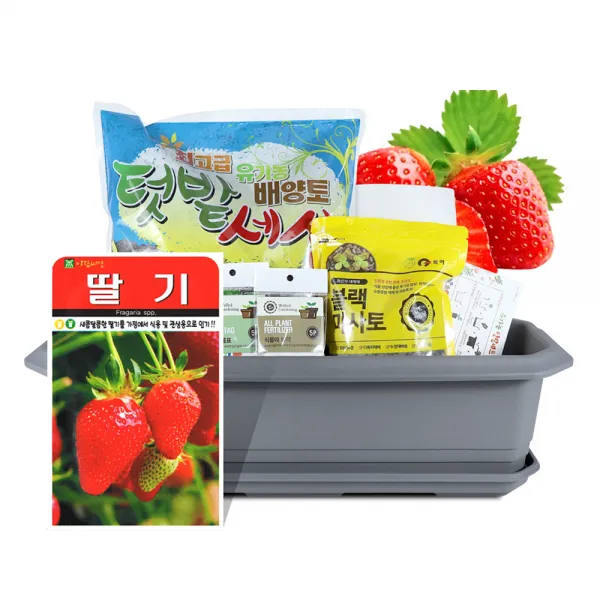 바이오필리아 채소 텃밭세트 + 식물 이름표 랜덤발송 딸기