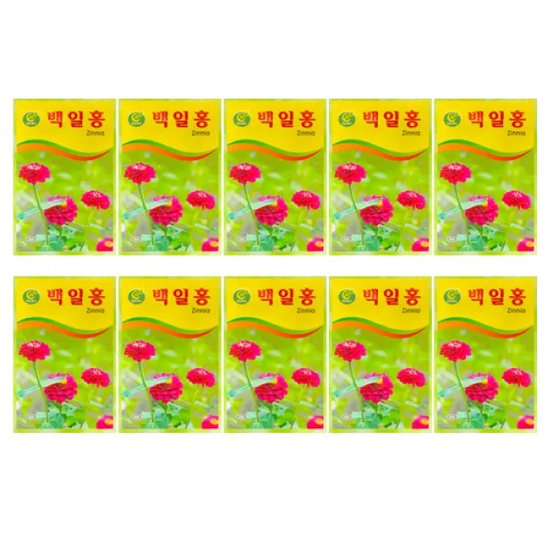 중앙꽃씨 백일홍, 10개