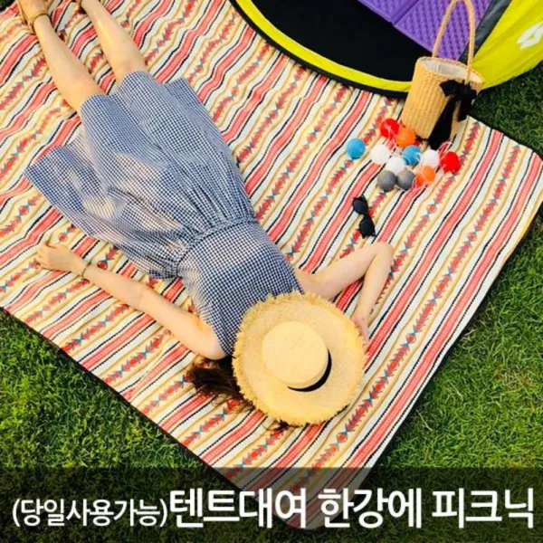 [서울] 한강에 피크닉 반포점