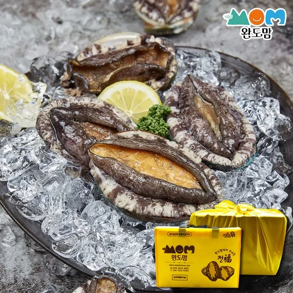 완도맘 생산자직송 활 전복 1kg, 1box, 1kg(10-11미)