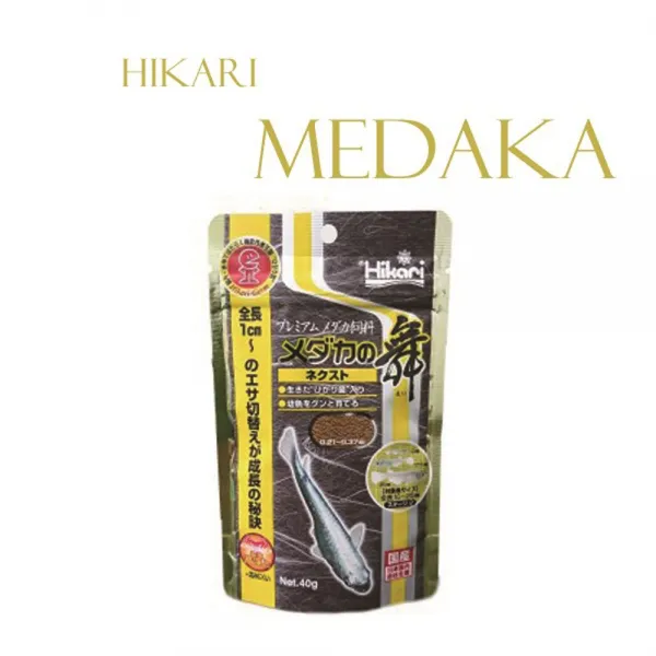 히카리 메다카 넥스트(미듐) 40g hikari 송사리사료 사료, 1개