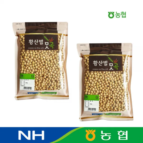 농협 국산 백태 (노란콩 메주콩) 500g, 2개