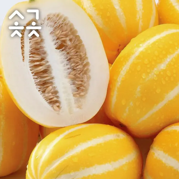 [시골친척] 고당도 햇 성주 참외 3kg - 가정용/선물용, 가정용 성주참외 3kg (7~12과)