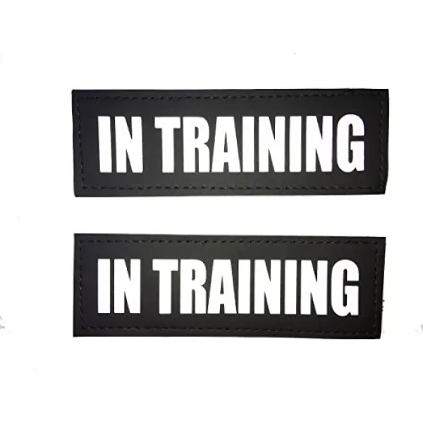 앨 스프 모양의 기판 개가있는 앨버프 반사 개 패치 교육에서 개를 봉사하는 개 애완 동물 감정적 인 지원 In Training Xxs Or Xs 3.5" X 1" 본상품