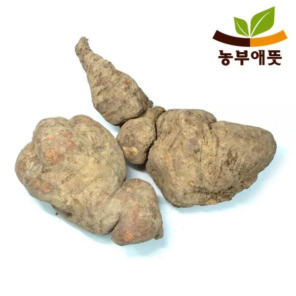농부애뜻 생 적 하수오 500g 국산, 1개