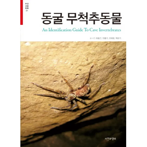 동굴 무척추동물, 자연과생태