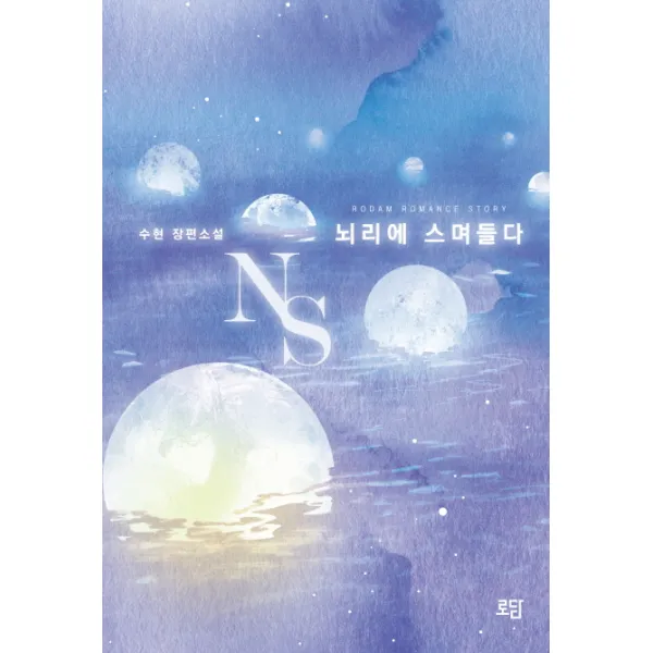 NS 뇌리에 스며들다:수현 장편소설, 로담