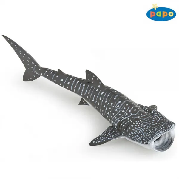 파포 학습완구 동물완구 동물모형 고래상어msavn 60512 장난감 동물학습 본상품선택