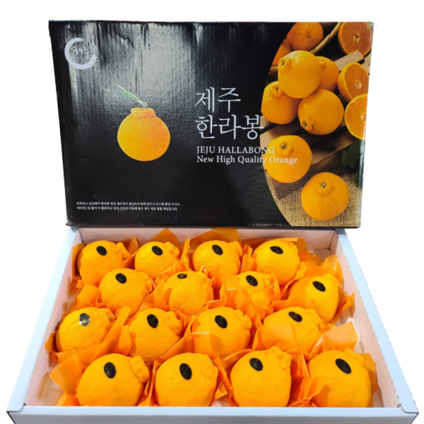 [황금원] 고당도프리미엄 한라봉 특대과 (12~17과) 5kg 선물세트/명절선물로 강력 추천, 1box, 5kg