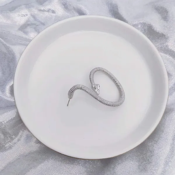 능구렁이 트로피칼 양식 개성 보이핏 볼륨 악세사리 여성 차오쿠