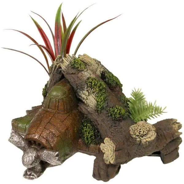 직구 블루 리본 Ee 1018 정글 식물 난파선 식물 이국적인 환경 수족관 장식품 상세참조 상세참조