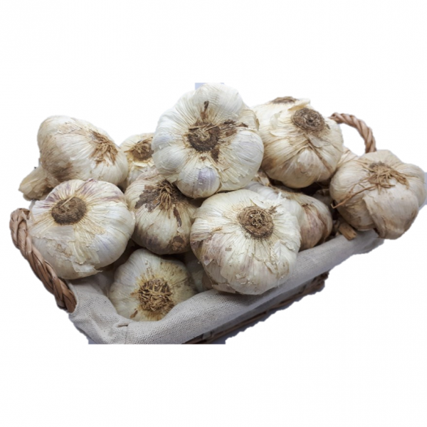 [싱싱다모아] 2021년 국내산 햇 통마늘, 1개, A3. 통마늘 (알싸한 남도 통마늘)  3kg