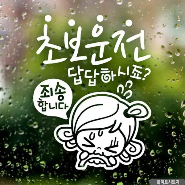 [ATQ_2061385] 자동차스티커 초보답답 초순이 초보운전 화이트시트지 초보운전스티커 익스테리어용품 자동차스티커 차량스티커 야간운전스티커