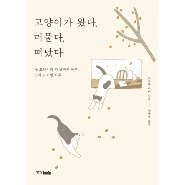 이노플리아 고양이가 왔다 머물다 떠났다, One color | One Size@1