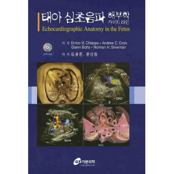 태아 심초음파 해부학 가이드라인, 가본의학