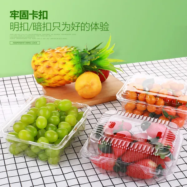100 개입 투명플라스틱 과 채소 포장케이스 있음 뚜껑 음식 신선도유지 포장통, A14500 g 분명히 매듭짓다 일반