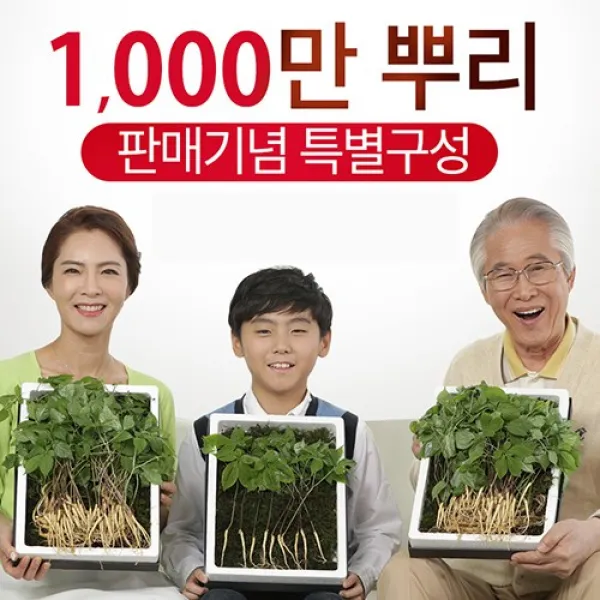 청유담 국내산 새싹삼 50뿌리 or 130뿌리, 1개, 청유담 새싹삼(50뿌리)