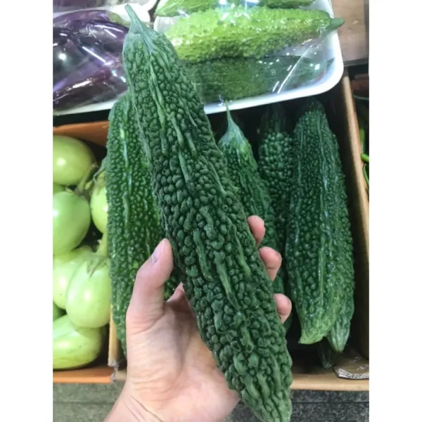 여주 1kg 2021 햇여주 고야 생여주 비터메론