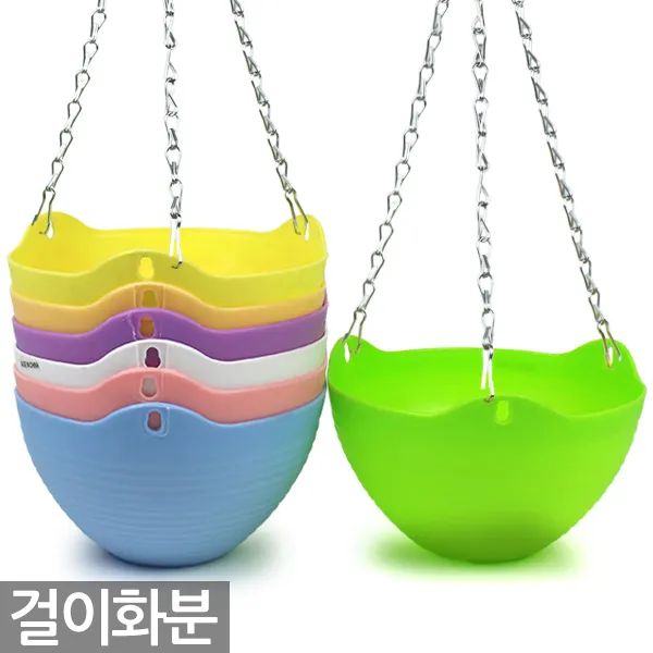 파스텔 행잉 걸이 화분 - 걸이화분 행잉화분 다육이 식물 공중걸이 공중화분 벽걸이 걸이분, 04_Sein_파스텔걸이화분(옐로우)