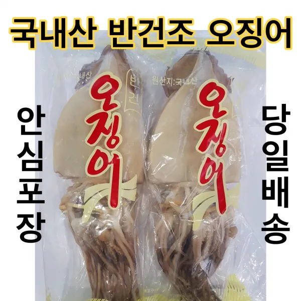 유성일등 동해안 쫄깃쫄깃 반건조 오징어, 10마리, 1.2kg (大)