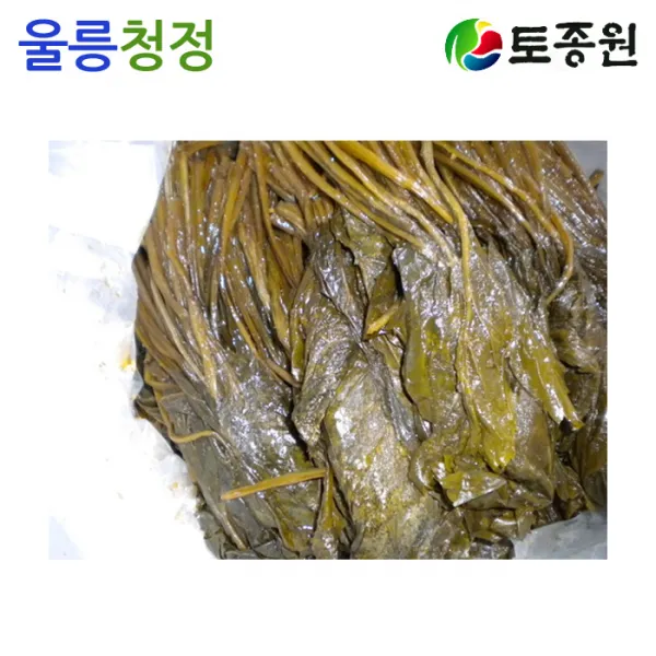 토종원 울릉도 미역취나물 절임 15kg 울릉도명이나물