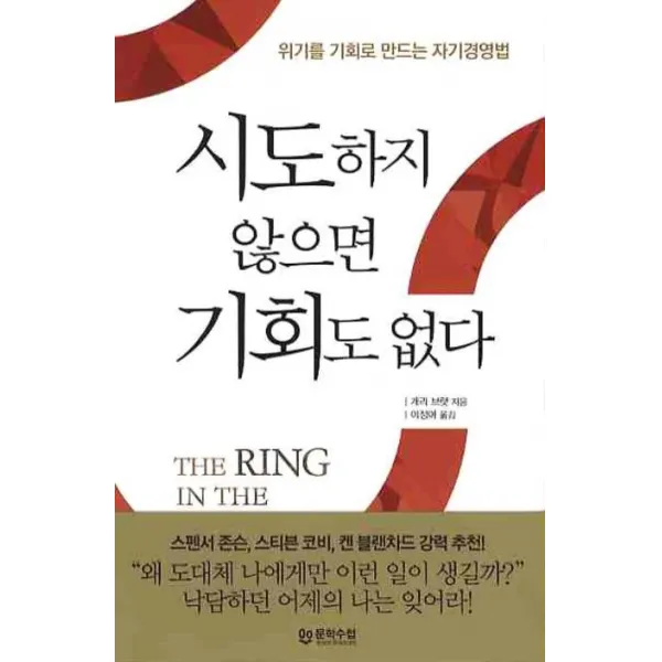 시도하지 않으면 기회도 없다:위기를 기회로 만드는 자기경영법, 문학수첩