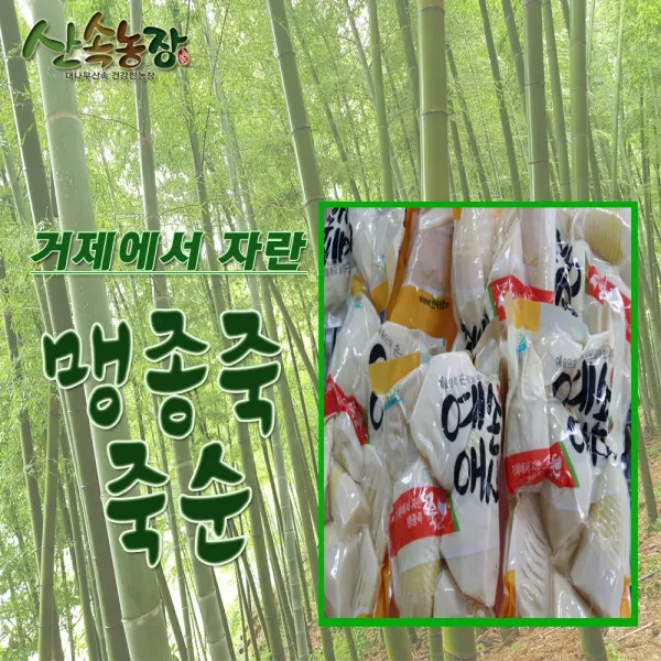 거제죽순 죽순 삶은죽순 맹종죽순 거제특산품 예손죽순, 1팩, 1kg
