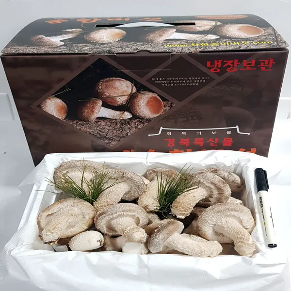 송향버섯 (산지직송) 오전11시전주문시 내일도착(주말 및 공휴일 제외), 1박스, 중품(실속형)500g