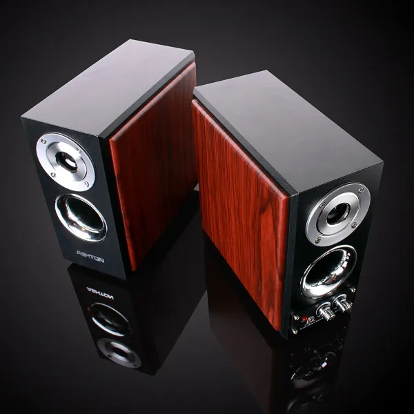 우퍼 홈씨어터 TV 음악 영화 감상 유선 2채널 40W 스피커 애쉬톤 AT-1000 WOOD, AT-1000 본체만