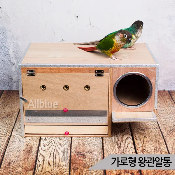 가로형 왕관알통 나무알통 앞문형 새집 새부화 번식