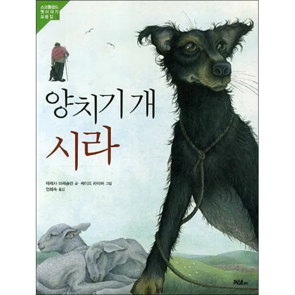 머스트비 양치기 개 시라