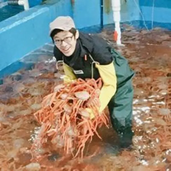 청춘홍게 일반 고급 3kg 5kg, 1개, 일반 5kg 자숙(찐상태)