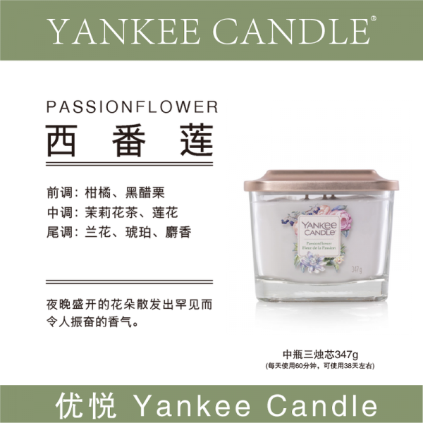 캔들워머 yankee꿀사탕 wildflowers시계초 고운모래 sunlight따뜻한, T08-시계초 중병
