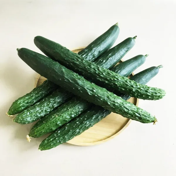 개미마켓 10개 20개 10kg 국산 한박스 특품 가시 오이 1박스 10개