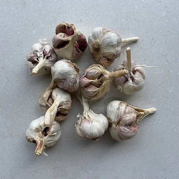 22년 5월수확 통영 사랑도 한산도 햇 마늘 남도마늘 햇마늘, 1.남도마늘5kg(대사이즈)