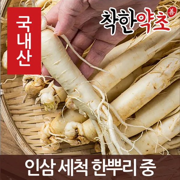 착한약초 금산 인삼 50종 수삼 삼계용 인삼주키트 선물세트, 1개, 1IA0_인삼 세척 한뿌리 중(개별포장) 70g 내외