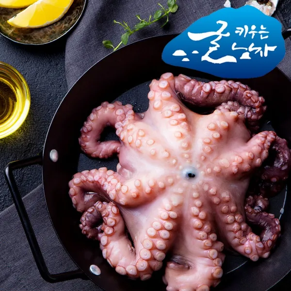 굴키우는 남자 제철 수산물 1box 자연산 돌문어 2kg 1~3미 
