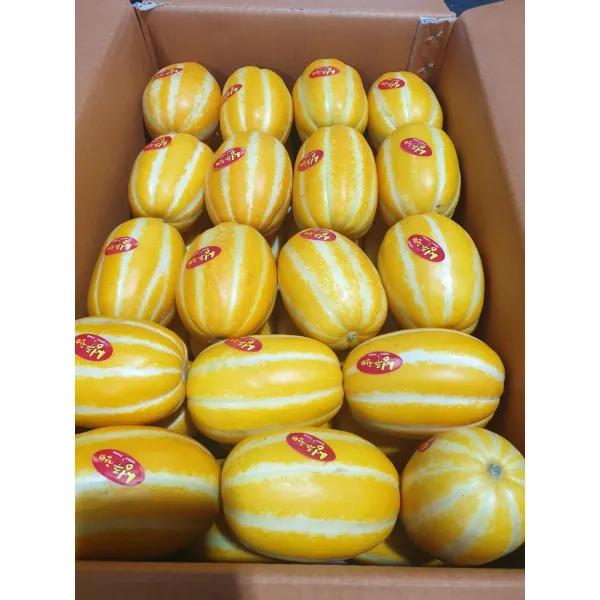 산지직송 당도선별 석군성주참외 3.5kg 5.5kg 가정용랜덤 마감재포함