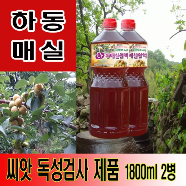 하동 매실원액 지리산산골 3년숙성 토종 황매실원액 1800ml, 1800ml 2병
