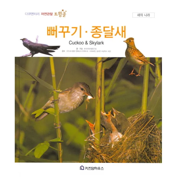 뻐꾸기 종달새, 키즈덤하우스