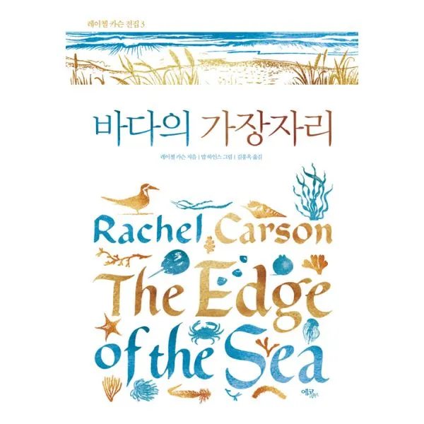 바다의 가장자리, 에코리브르