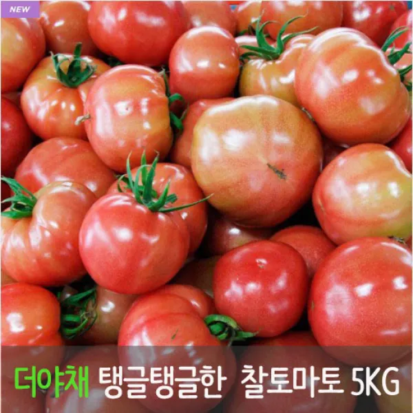[더야채] 단단하고 탱글탱글한 완숙 찰토마토 5KG - 중과 대과 특과, 1박스, 찰 토마토 5KG(대과)