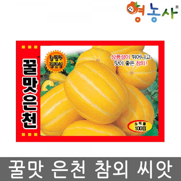 꿀맛은천 참외씨앗 100립 금싸라기씨앗 꿀참외씨앗, 꿀맛은천 참외