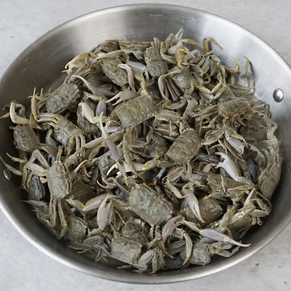 (당일조업) 당일채취한 순천만 칠게 화랑게, 1개, 급냉 칠게 1kg( 튀김용)