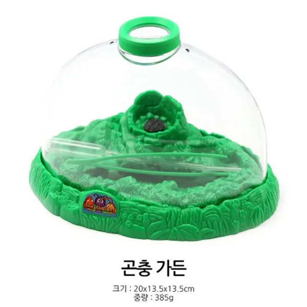 어린이집 아동 곤충 개미 거미 가든 관찰학습 채집통