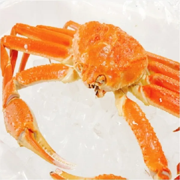 러시아산 특A 자숙(찜) 대게 스노우크랩 활 대게 동해 죽변 속초 홍게 박달대게, 1Kg