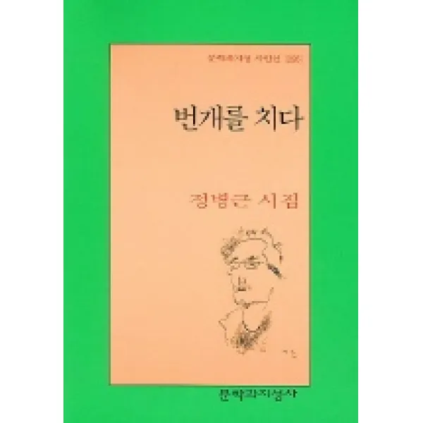 번개를 치다, 문학과지성사