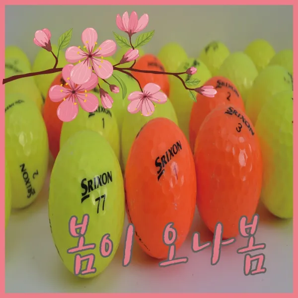 A급 스릭슨 컬러로스트볼 황금연휴, 25. 가성비 흰색 혼합 A급_10알