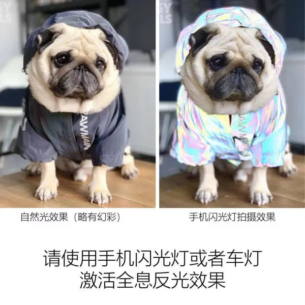 코린 애완옷 몹시 당황하다 예봉 팔찌 컵 스트리트 러너 브라도 빅타입 골드 튀기다 중형 리플렉터 애완동물 펫 견법 얇은, 타바스그레이 리플렉터 얇은, XL